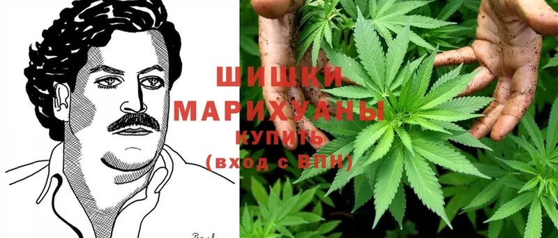 Марихуана Bruce Banner  блэк спрут tor  Фролово  купить наркоту 